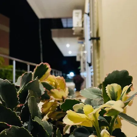 Hotel Orea Himare